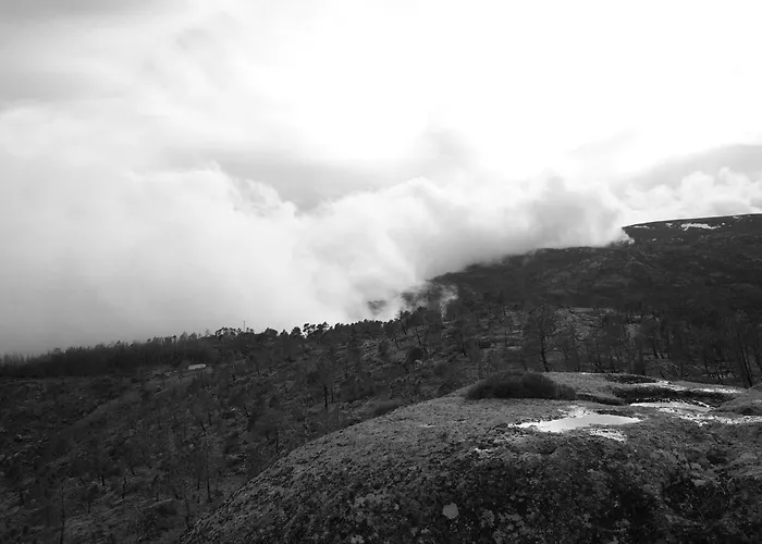 Casa Dos Toros * Cortes do Meio